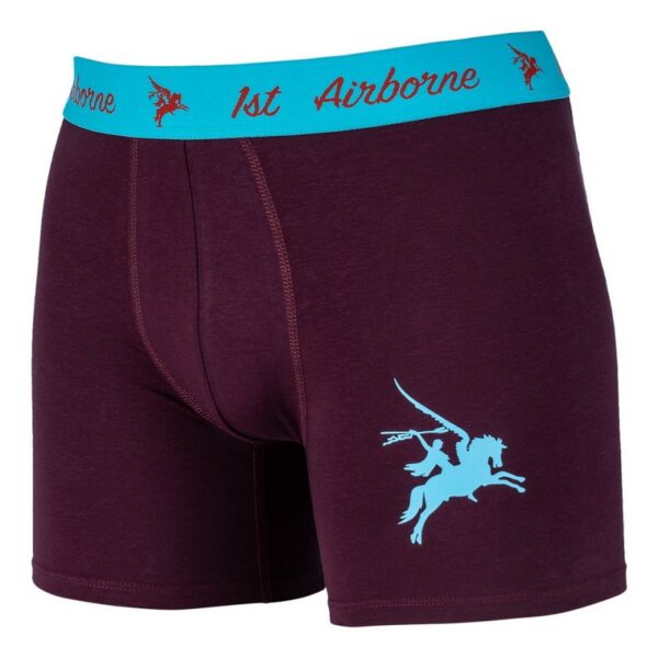 Boxershort Pegasus - Afbeelding 2
