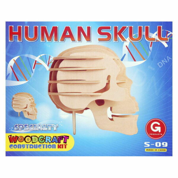Houten bouwpakket schedel