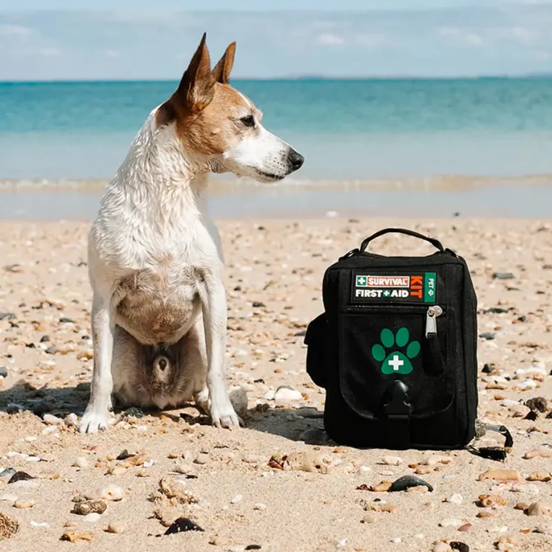 Survival First Aid Kit | Pet - Afbeelding 5