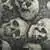 Skull zwart