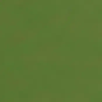 Vietnam green